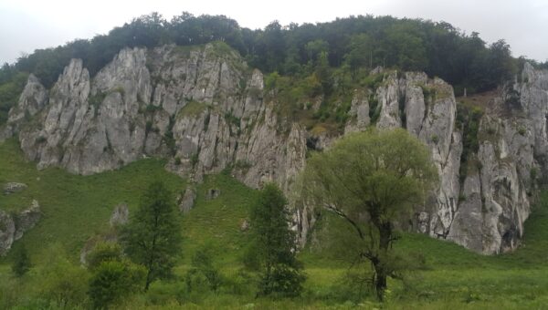 Photo Călărași